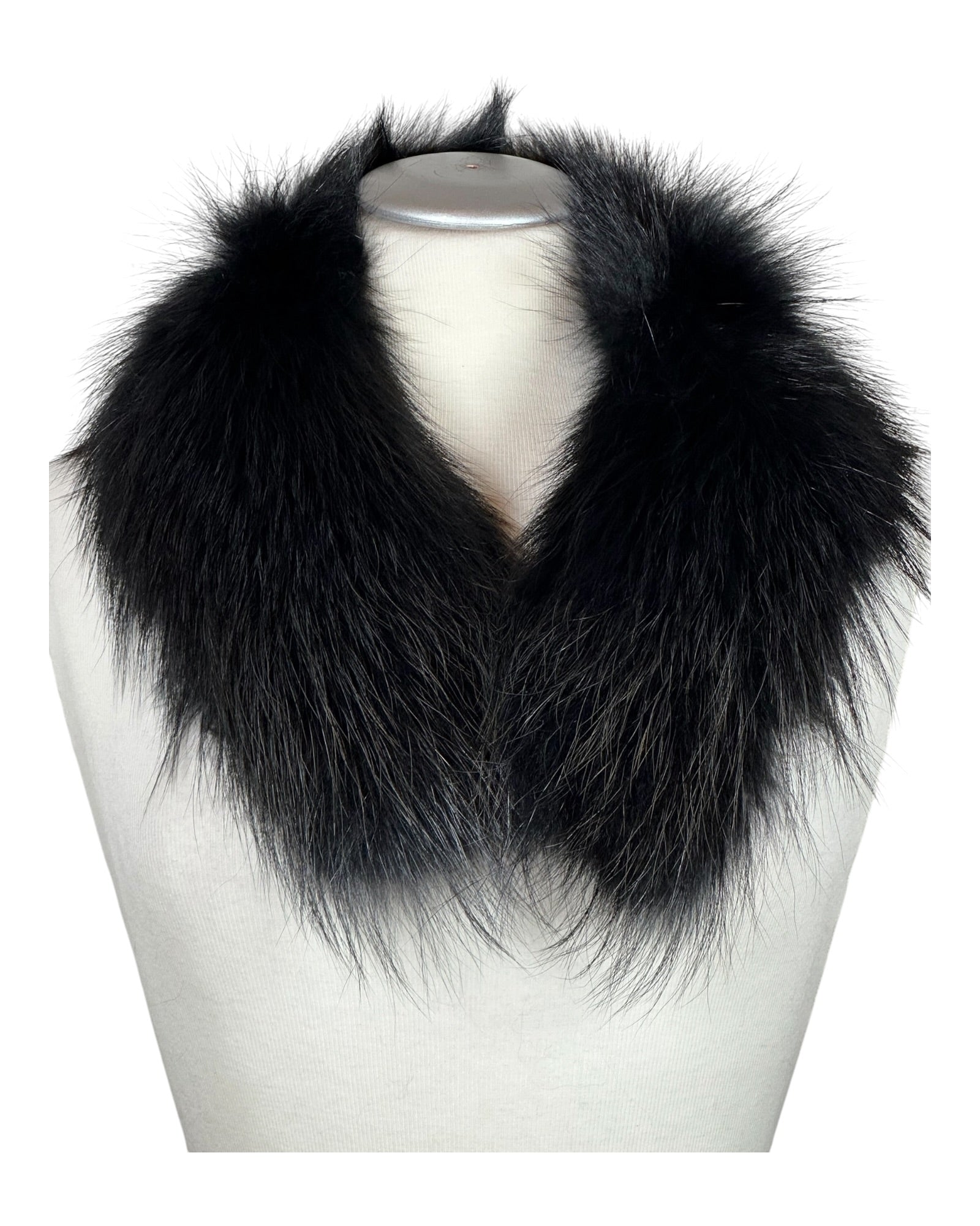 Raccoon Collar