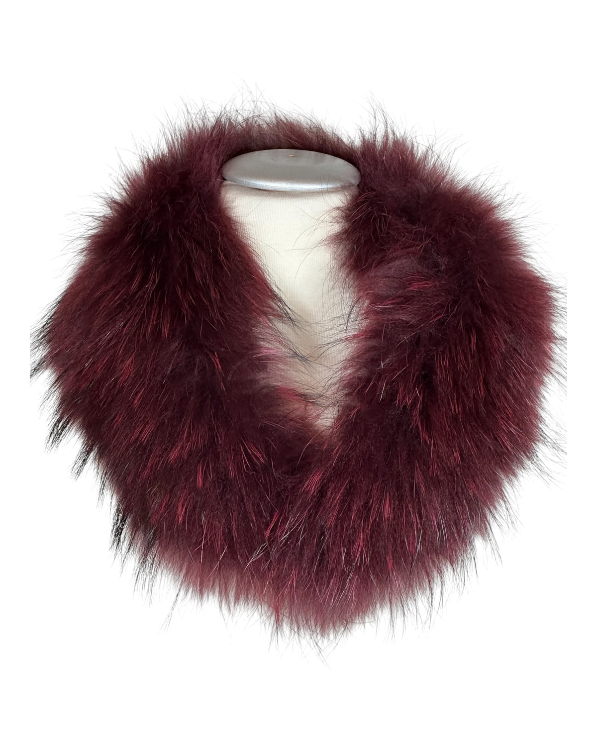 Raccoon Collar