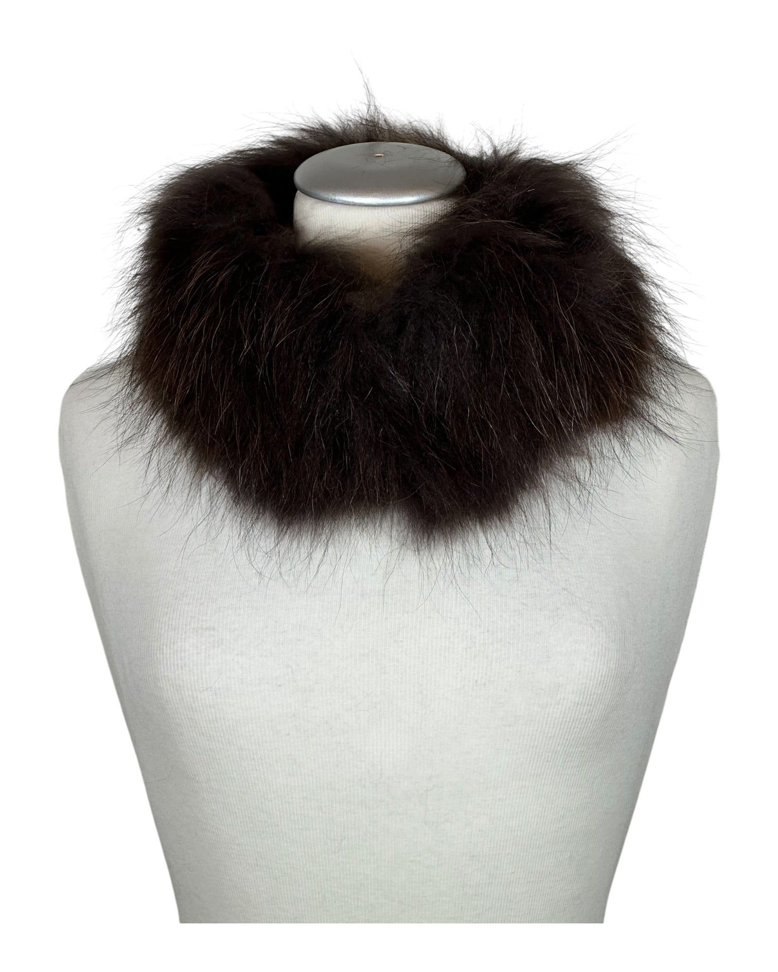 Raccoon Collar