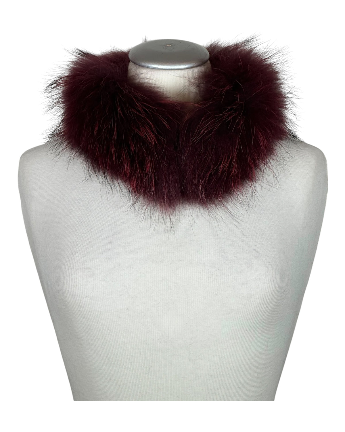 Raccoon Collar