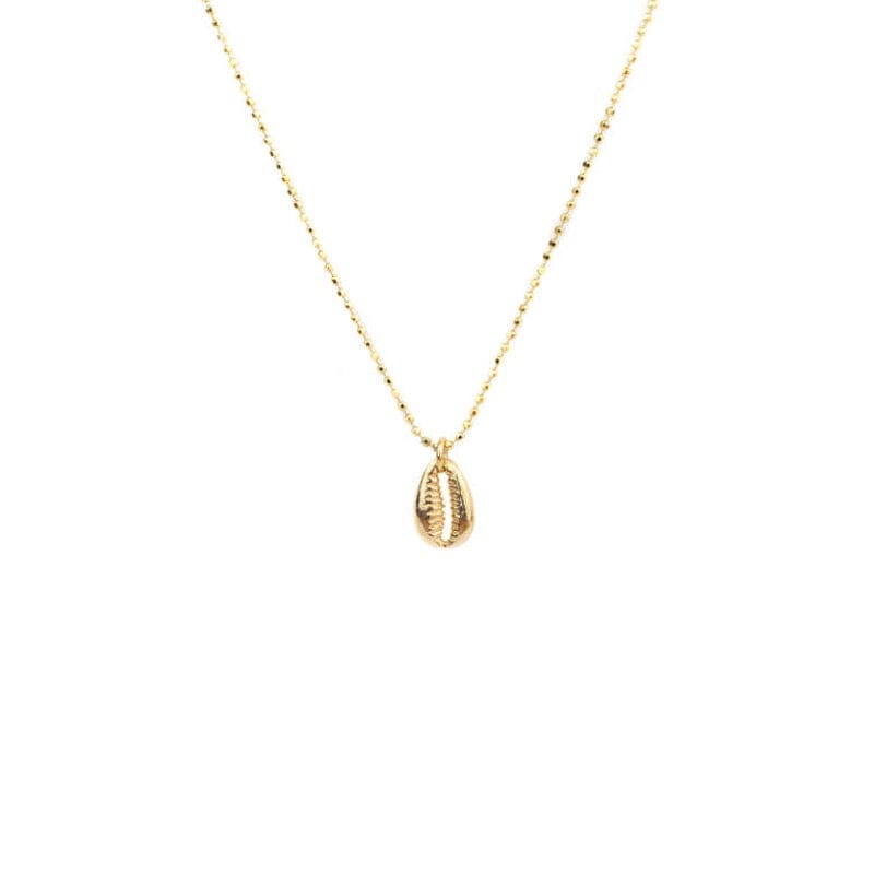 Kette Noemi Kette inrosa Gold Kette 37 – 40 cm, Muschel 1,2 cm