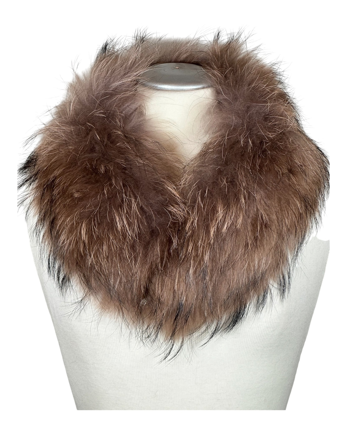 Raccoon Collar