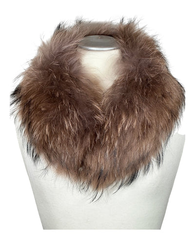 Raccoon Collar