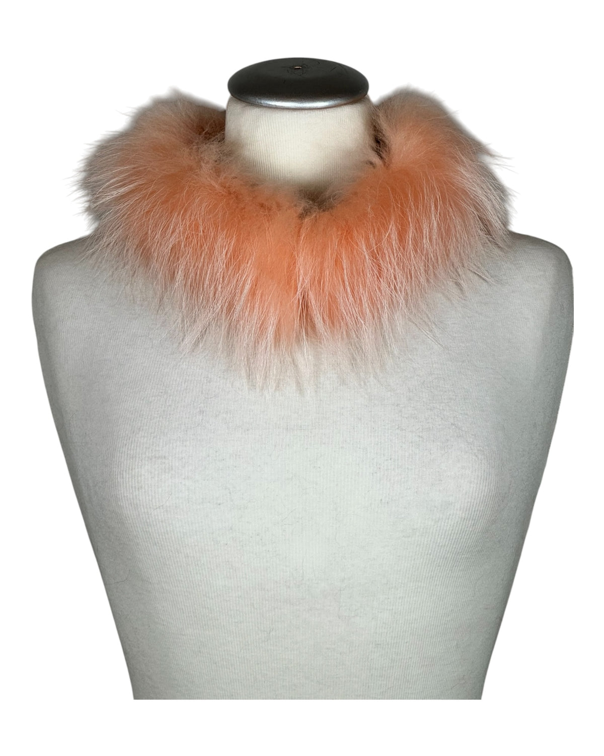White Raccoon Collar