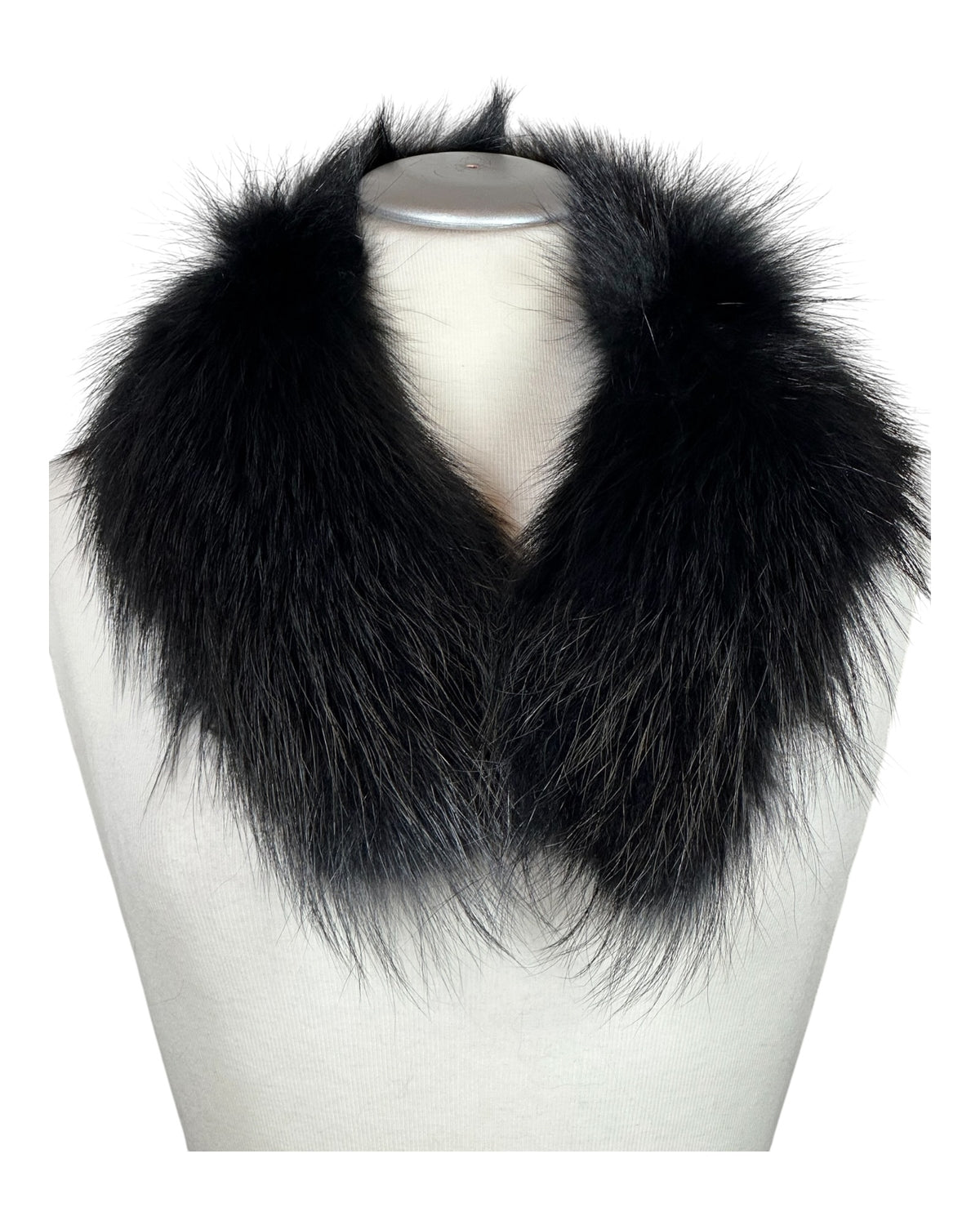 Raccoon Collar