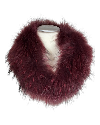 Raccoon Collar
