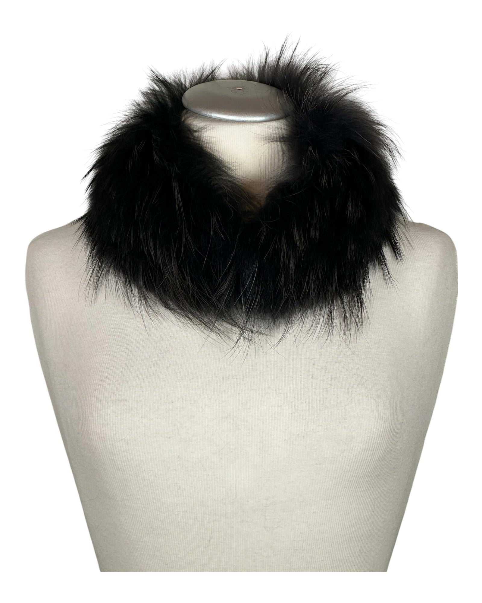 Raccoon Collar