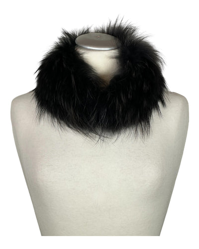 Raccoon Collar