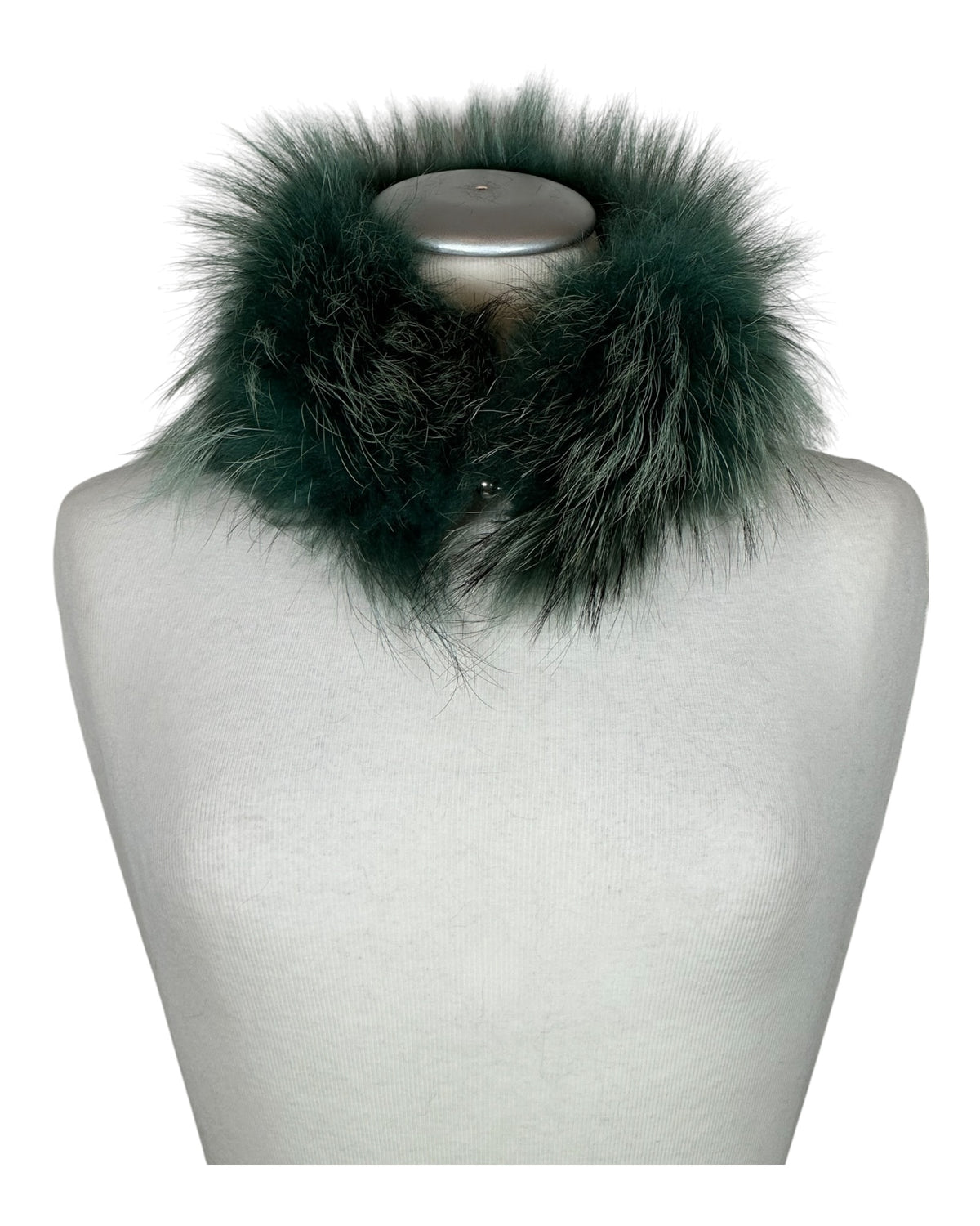 Raccoon Collar