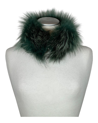 Raccoon Collar