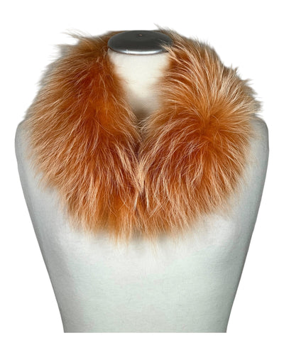 White Raccoon Collar