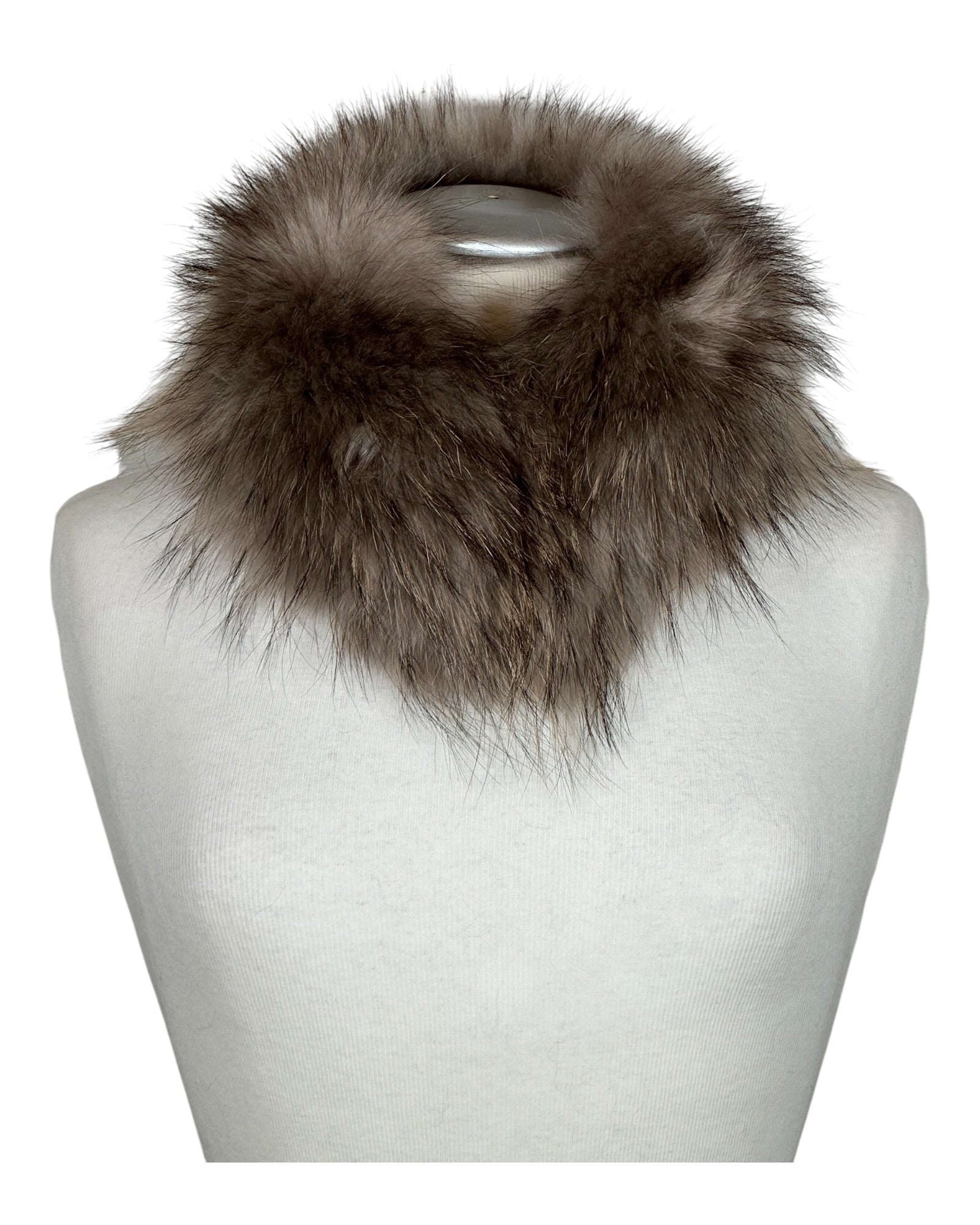 Raccoon Collar