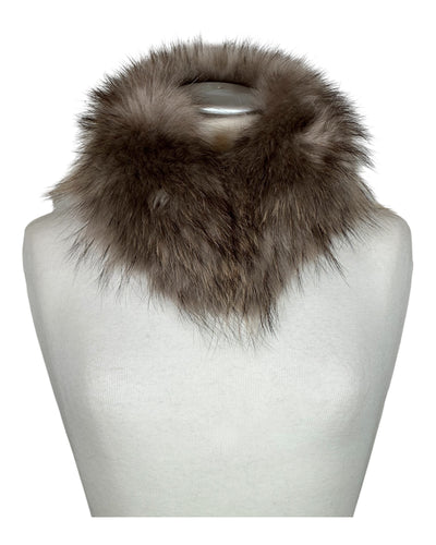 Raccoon Collar