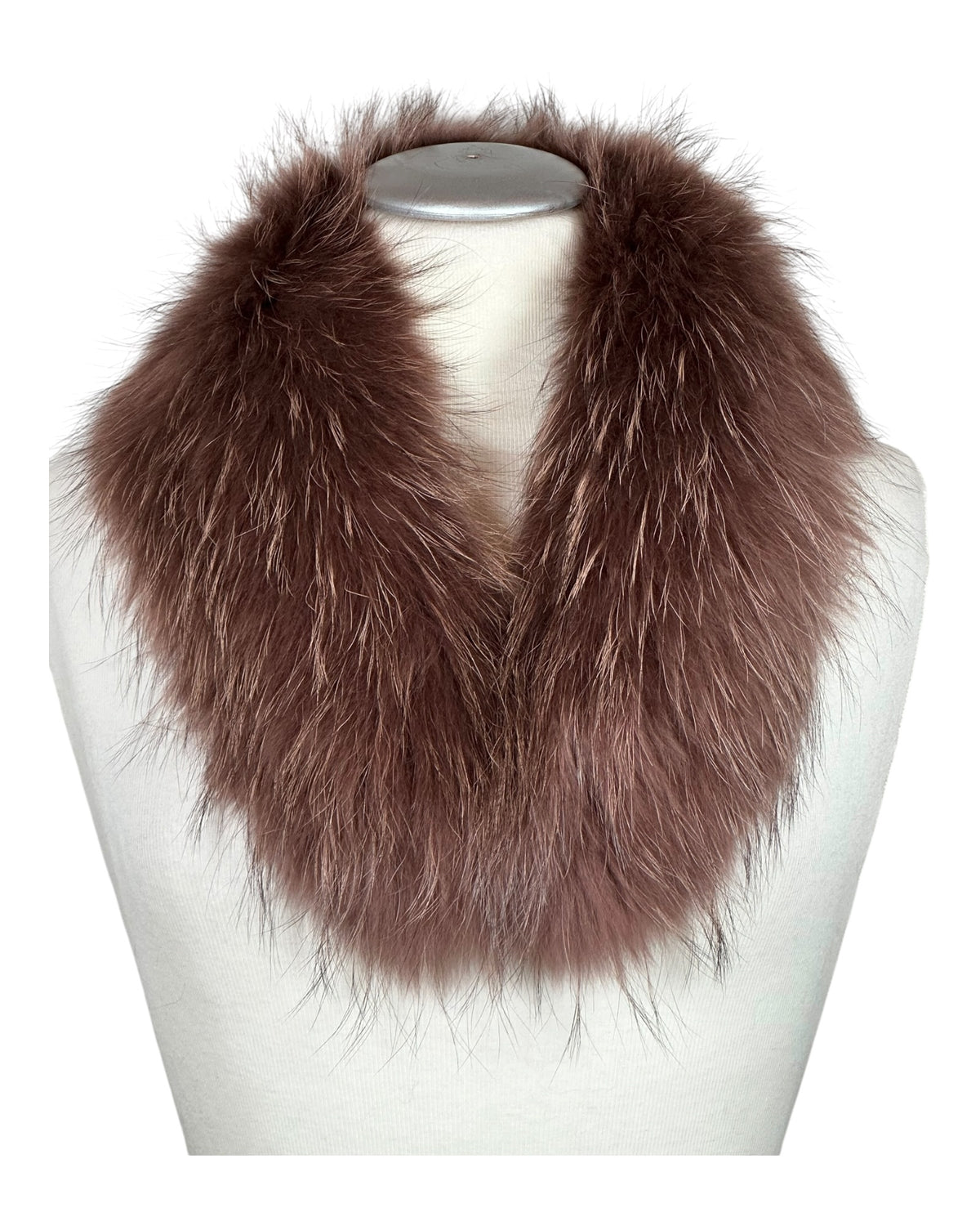Raccoon Collar