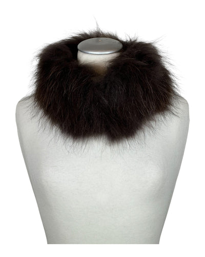 Raccoon Collar