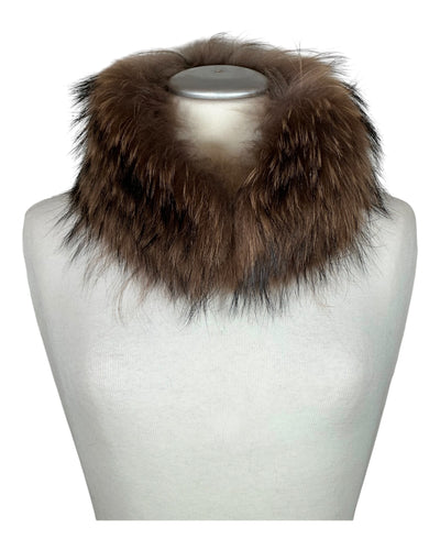 Raccoon Collar