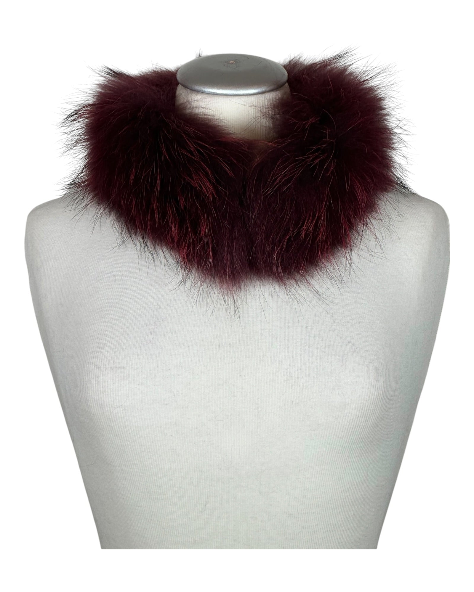 Raccoon Collar