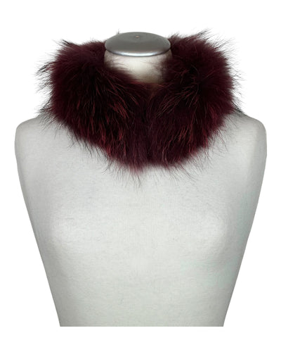 Raccoon Collar