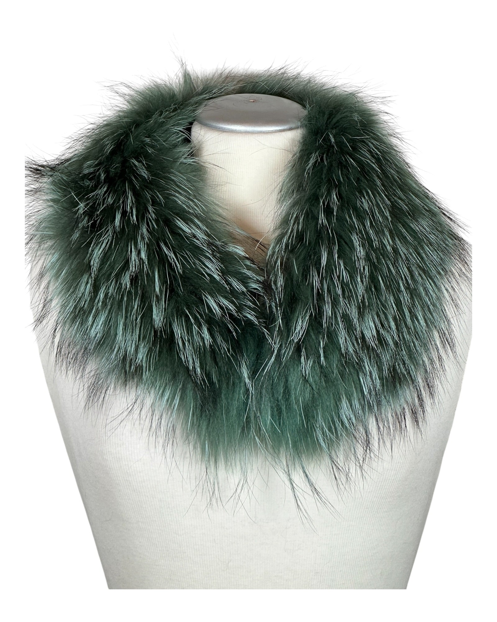 Raccoon Collar